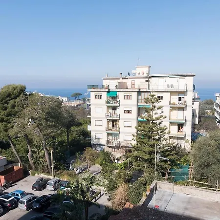 Guest house Emily 3*